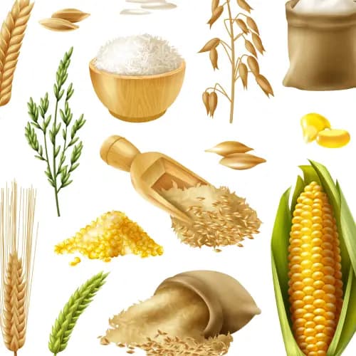 Grains