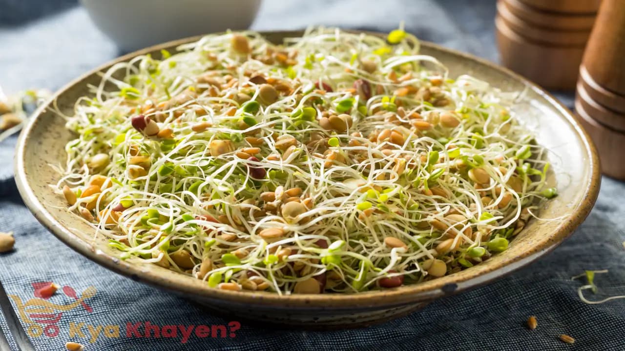 Mix Bean Sprouts Salad